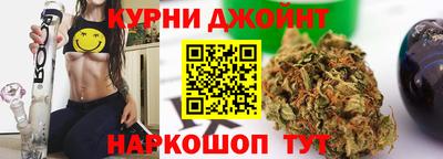 сатива Кунгур
