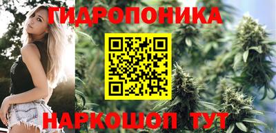 сатива Кунгур